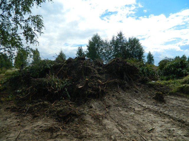 Удаление крупномерных деревьев